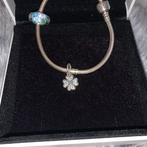 Pandora Charm - Rare!